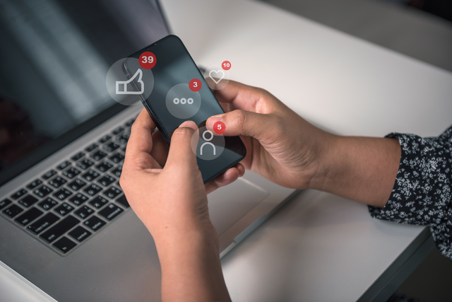 DF Studio Design - e-commerce Ottimizzazione dei motori di ricerca ( SEO )