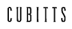 Logo Cubi